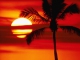 Die rote Sonne von Barbados individuelles Playback Die Flippers