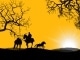 The Cowboy Rides Away - Schlagzeug-Begleitung - George Strait