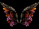 Wings of a Butterfly custom accompaniment track - HIM