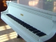 Playback personnalisé 1000 Doves (Piano demo) - Lady Gaga
