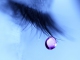 Blue Eyes Crying in the Rain (live) aangepaste backing-track - Shania Twain