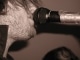 Playback MP3 Try Honesty - Karaoke MP3 strumentale resa famosa da Billy Talent