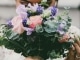 Playback personnalisé L'amour est un bouquet de violettes - Luis Mariano