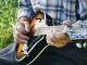 Instrumental MP3 Mandolin Rain - Karaoke MP3 as made famous by Bruce Hornsby