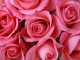 Room Full of Roses kustomoitu tausta - Mickey Gilley