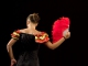 Pista de acomp. personalizable Flamenco y bachata - Daviles de Novelda