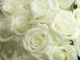 Roses blanches de Corfou kustomoitu tausta - Nana Mouskouri