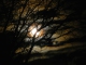 Allegheny Moon kustomoitu tausta - Patti Page