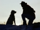 Hound Dog aangepaste backing-track - Forrest Gump