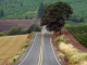 Will You Travel Down This Road with Me kustomoitu tausta - Isla Grant