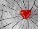 Your Cheatin' Heart Base personalizzata - LeAnn Rimes