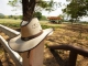 This Cowboy's Hat - Guitar Backing Track - Chris LeDoux
