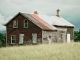 Sweet Home Alabama base personalizzata - Lynyrd Skynyrd