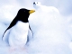 Penguin niestandardowy podkład - Christina Perri