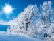 Playback MP3 Winter Wonderland - Karaokê MP3 Instrumental versão popularizada por Christmas Carol