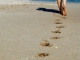 Footprints niestandardowy podkład - Tom Gregory