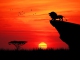Can You Feel the Love Tonight - Drum Backing Track - The Lion King (1994 film)