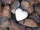 Love on the Rocks - Pista para Guitarra - Neil Diamond