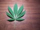Playback personnalisé Cannabis - Ska-P