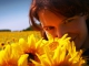Pista de acomp. personalizable Sunflower - Glen Campbell