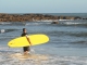 Surfin' USA base personalizzata - The Beach Boys