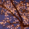 Karaoké Underneath the Christmas Lights Sia