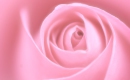 Bouquet Of Roses - Instrumental MP3 Karaoke - Eddy Arnold