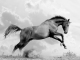 Instrumental MP3 Here I Am - Karaoke MP3 as made famous by Spirit: Stallion of the Cimarron (film)