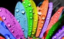 Karaoke de Sunshine, Lollipops and Rainbows - Lesley Gore - MP3 instrumental