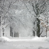 Karaoké Winter Wonderland Perry Como
