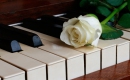 The Look of Love - Nina Simone - Instrumental MP3 Karaoke Download