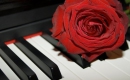 Die Rose - Instrumental MP3 Karaoke - Helene Fischer