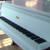 Karaoké 1000 Doves (Piano demo) Lady Gaga