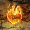 Karaoke Burning Heart Survivor