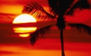 Die rote Sonne von Barbados - Karaoke MP3 backingtrack - Die Flippers