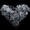 Heart Shaped Wreckage