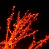Karaoké Flame Trees Cold Chisel