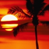 Die rote Sonne von Barbados
