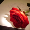 My Love Is Like a Red Red Rose
