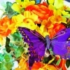 Karaoké Love is Like a Butterfly Dolly Parton