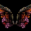 Karaoké Wings of a Butterfly HIM