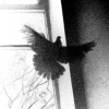 Karaoké On the Wings of a Silverbird Engelbert Humperdinck