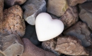 Love on the Rocks - Karaoke MP3 backingtrack - Neil Diamond