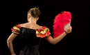Flamenca Flamenco - Charles Aznavour - Instrumental MP3 Karaoke Download