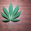 Cannabis (Legalizacion)