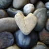 Stone in Love
