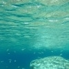 Karaoké Underwater Mika