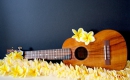 It's Time to Say Aloha - Instrumental MP3 Karaoke - Klassiker der 30er Jahre