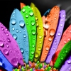 Sunshine, Lollipops and Rainbows Karaoke Lesley Gore