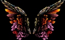 Wings of a Butterfly - HIM - Instrumental MP3 Karaoke Download